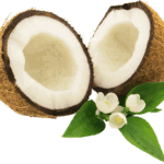 coconut_PNG9154(1)