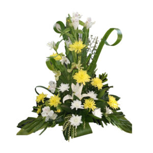 Yellow & White sunshine