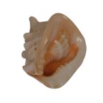 helmet pu shell