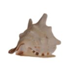 Helmet shell - Image 2