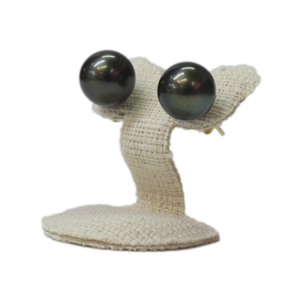 Black Pearl Earring- Gold stud