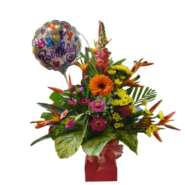 Pacifica Best Wishes Pack