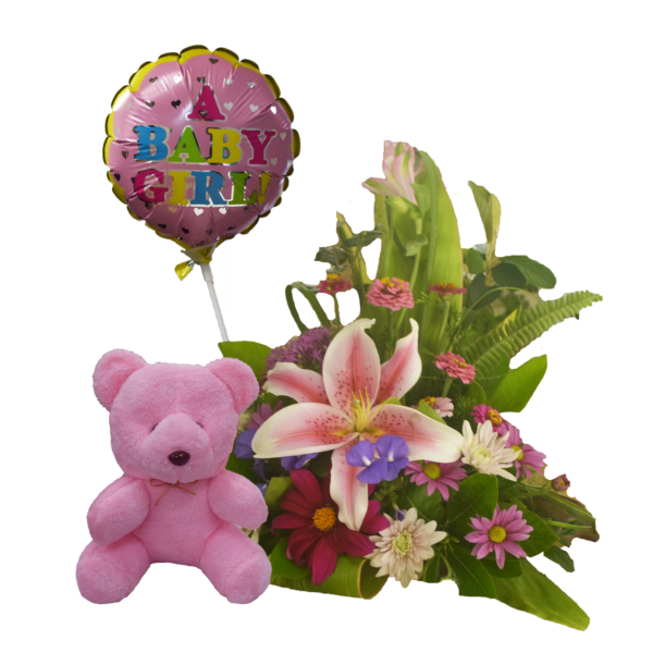 Welcome Baby Pack- BOY or GIRL